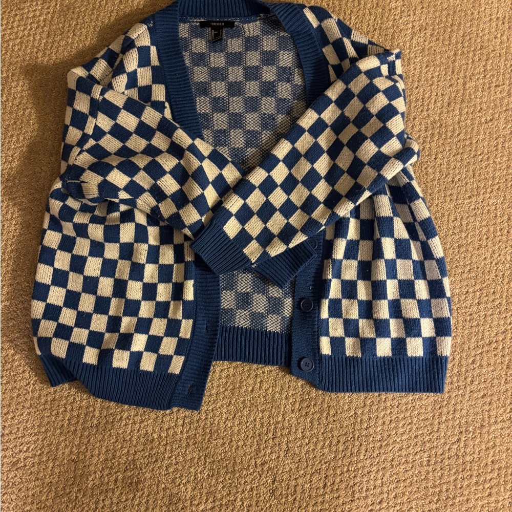 Blue and white checker sweater from forever 21